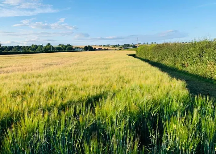 Boundary Stable * Pickering