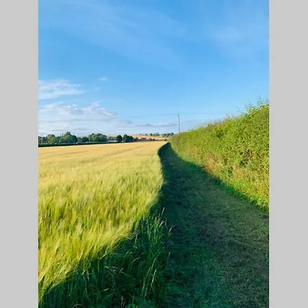 Boundary Stable